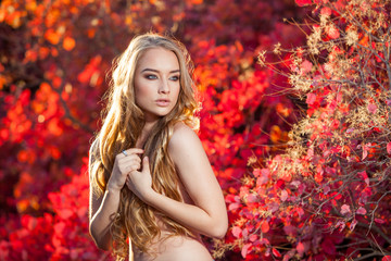 Naklejka premium young woman on a background of red and yellow autumn leaves with