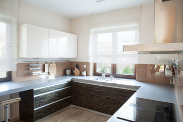 Well-organized kitchen interior