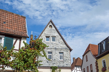 typical vine village house, germany, weinstrasse