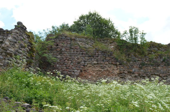 Krevo castle 2015
