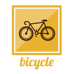 Bicycle lifestyle design