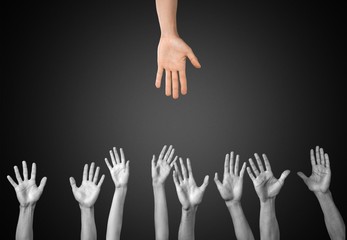 Human Hand, Hand Raised, Volunteer.