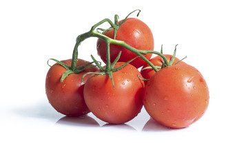 Gałązka pomidorów na białym tle