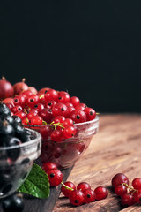 Wet fresh red currants