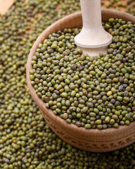 The mung bean
