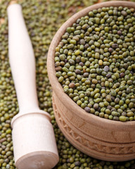 The mung bean