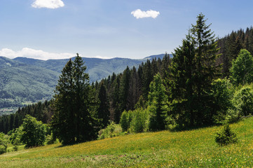 Mountain landscape. Carpathians