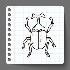 beetle doodle