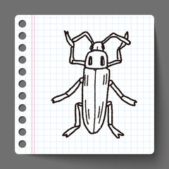 insect doodle