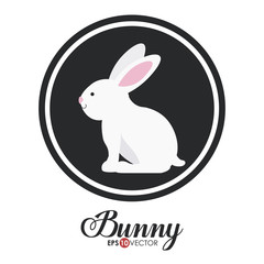 Bunny design