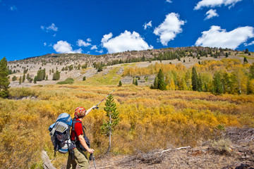 Backpacker enjoying fall colors in Eastern Sierra,  best place to see fall foliage in California
