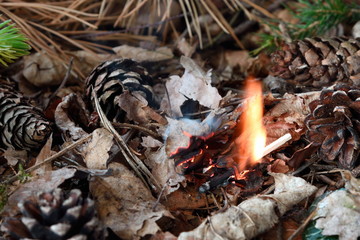 Waldbrand, Zündholz