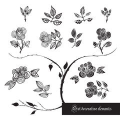 Set of decorative elements, roses and leaves, black and white