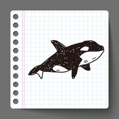 Killer Whale doodle