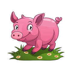 Pig