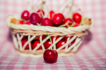 Sprig of cherries, ripe cherries
