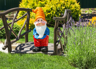 Wooden decorative bridge with garden dwarf  in home garden.