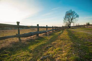Fototapeta premium village landscape