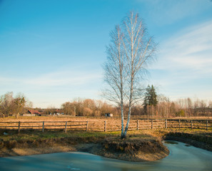 village landscape