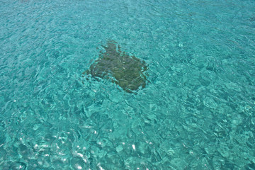 Stein im türkisblauen Wasser