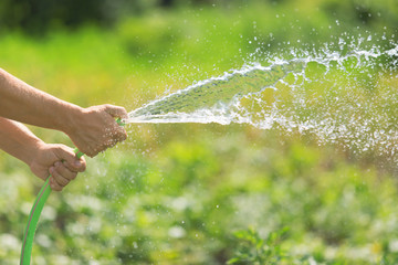 Man watering the garden from hose on sunny day