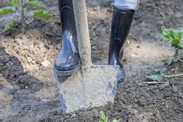 woman digging in the garden with black boots