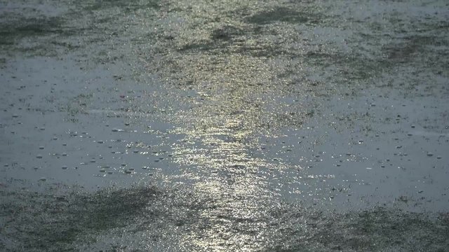 LLUVIA CESPED ARTIFICIAL CHARCO