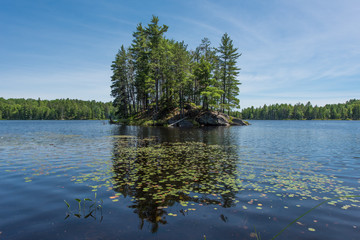 Water Lilies and Island