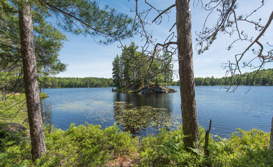 Island on the Lake