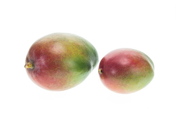 Close up big Thai mango isolated on white