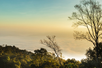 Fototapeta na wymiar Morning mist mountains during sunrise ,Chiang Mai , Thailand
