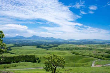 Obraz premium 久住高原