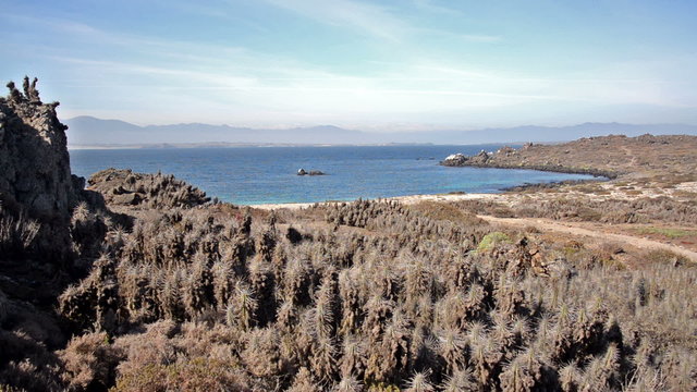 Landscape of Damas Island near La Serena, Chile