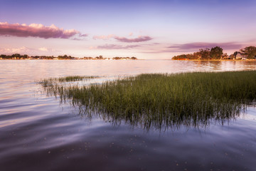 Obraz premium Purple Sunset Over Grassy Harbor