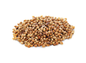 Coriander seeds isolated on white background