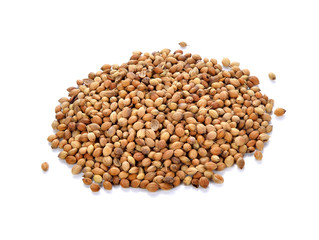 Coriander seeds isolated on white background