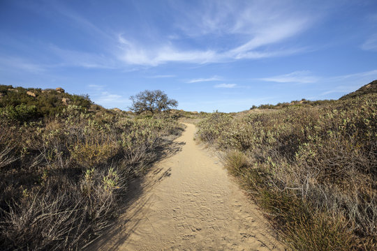 California Chaparral Trail