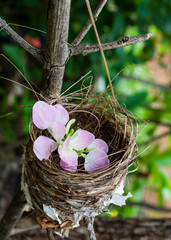 flower on bird nest