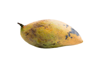 Rotten mangoes fruit on white background