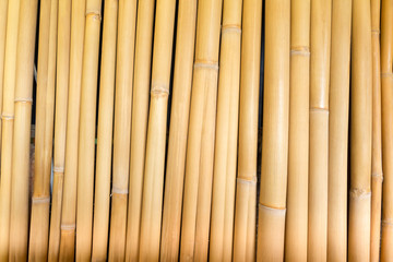 Bamboo wall
