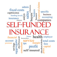 Self Funded Insurance Word Cloud