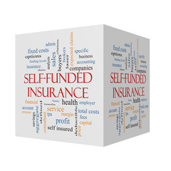 Self Funded Insurance 3D cube Word Cloud