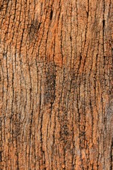 Vintage wood background