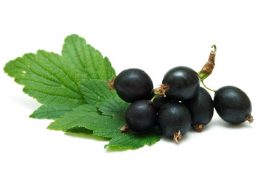  Blackberry isolated on white