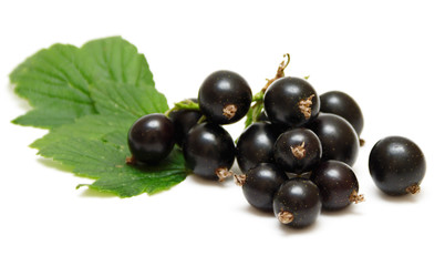  Blackberry isolated on white