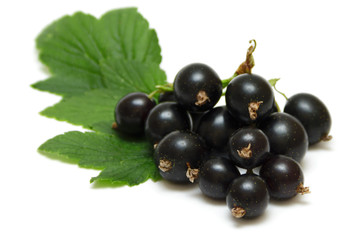  Blackberry isolated on white