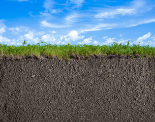 Soil, grass and sky nature background