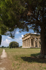 Fototapeta na wymiar Archaeological site of Paestum , Temple of Neptune . Italy