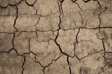 Dry cracked earth. 