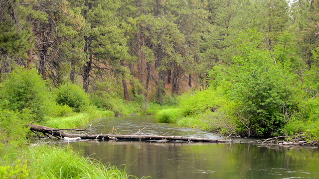 Deschutes River in central Oregon peacefully passing by